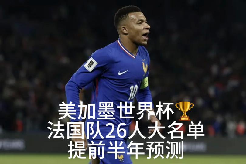 关于法国队冠军之路：拼搏团结追求胜利的信息