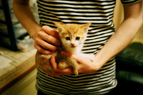 DBGame-杜兰特状态火热，雄鹿对阵独行侠，一场定义赛季的强强对话