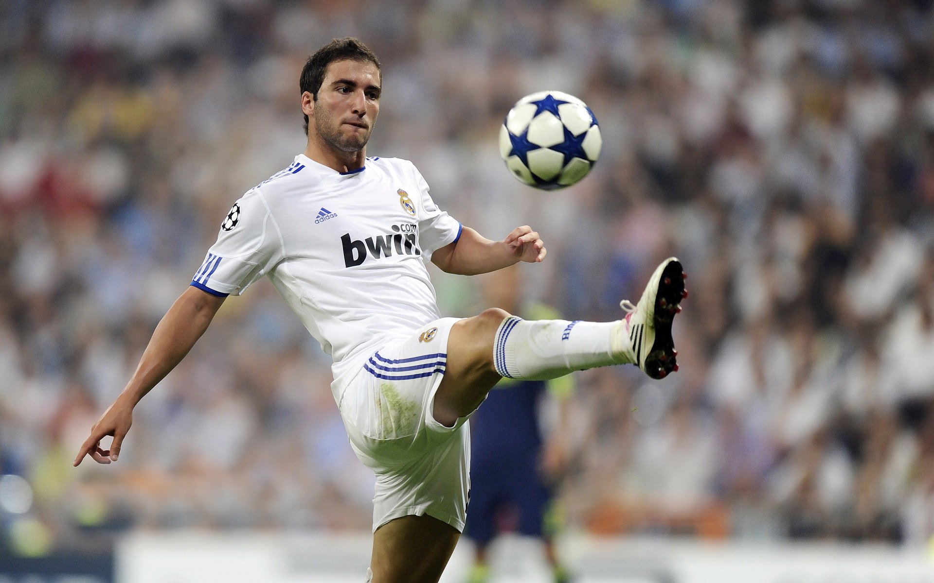 诺里斯绝地反击点燃赛场，红牛二队0.03秒险胜威廉姆斯