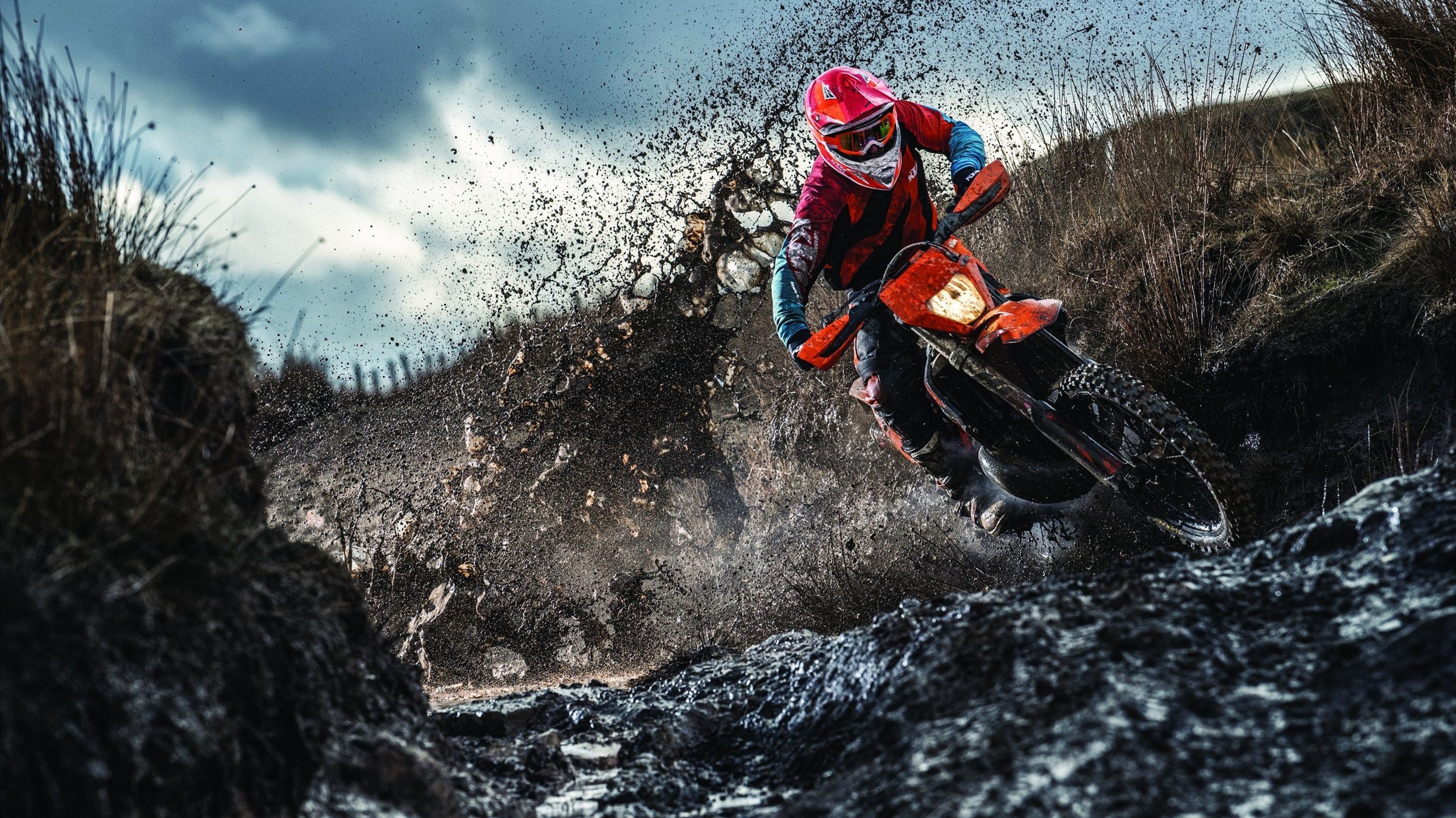 这是一篇根据您的要求创作的体育评论文章。首先，我为您构思了一个具有张力与悬念的标题，随后展开正文